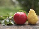 Metabolic Maladies: Decoding the Intricacies of Energy Production Issues