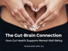 Gut-Brain Axis Optimization: Rewiring Your Health Through What You Eat